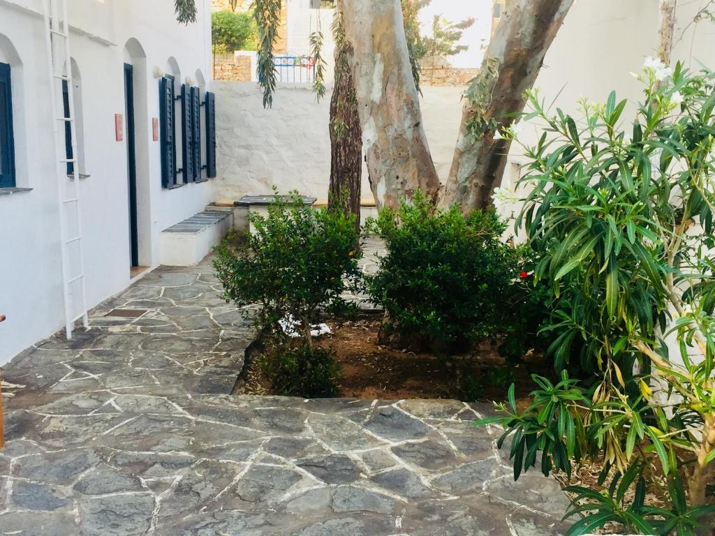 Vonkajšia záhrada v ubytovaní House in Kamares - Sifnos