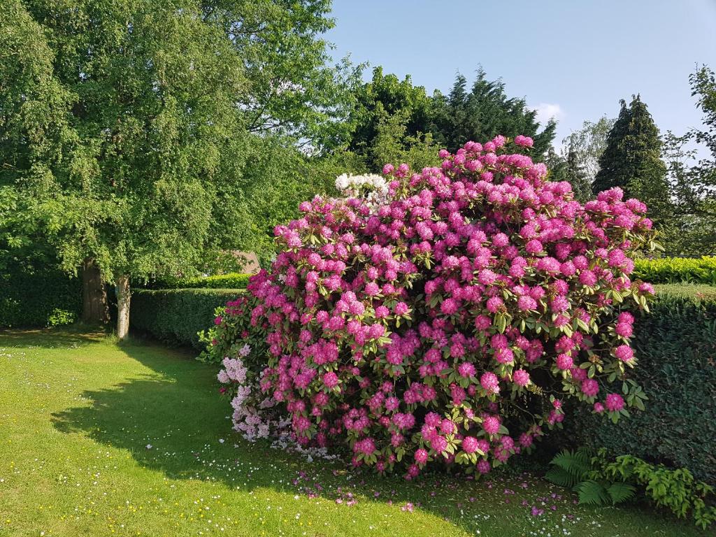 Zahrada ubytování B&B prince d’Orange Waterloo