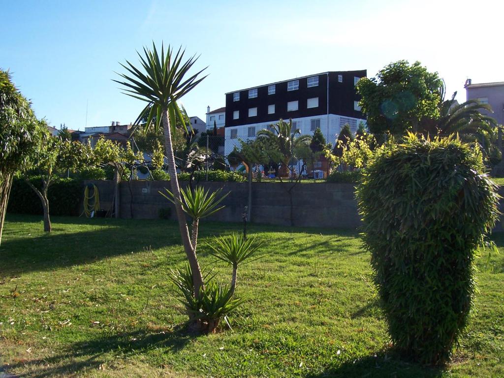 a palm tree in a yard with a building in the background at Apartamentos Blanco Y Negro in A Guarda