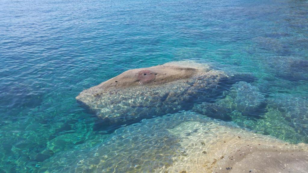 a rock sticking out of the water at Appartamento Il Girasole in Pomonte