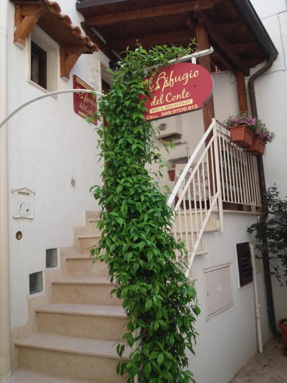 Budova, kde se bed and breakfast nachází