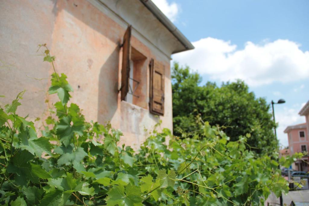 ein altes Gebäude mit offenem Fenster und Büschen in der Unterkunft Alla vigna in Bassano del Grappa