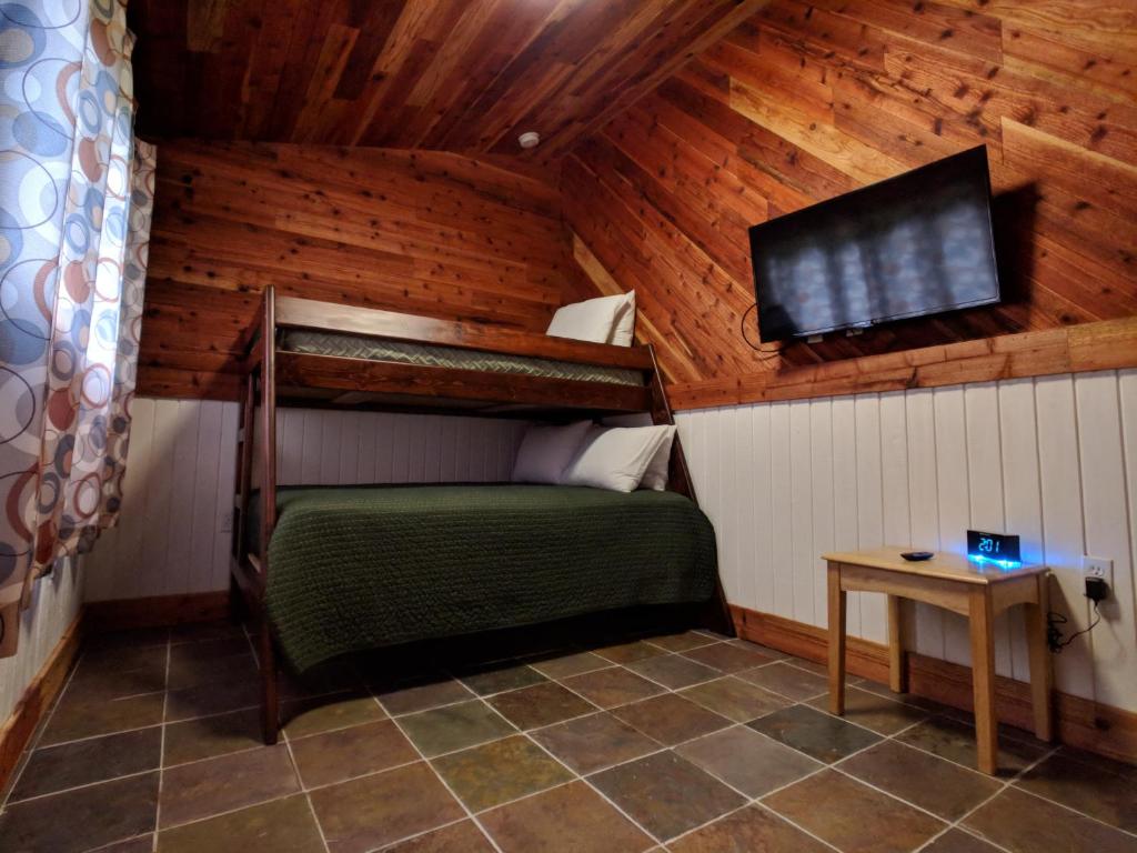 TV a/nebo společenská místnost v ubytování Emerald Forest Cabins