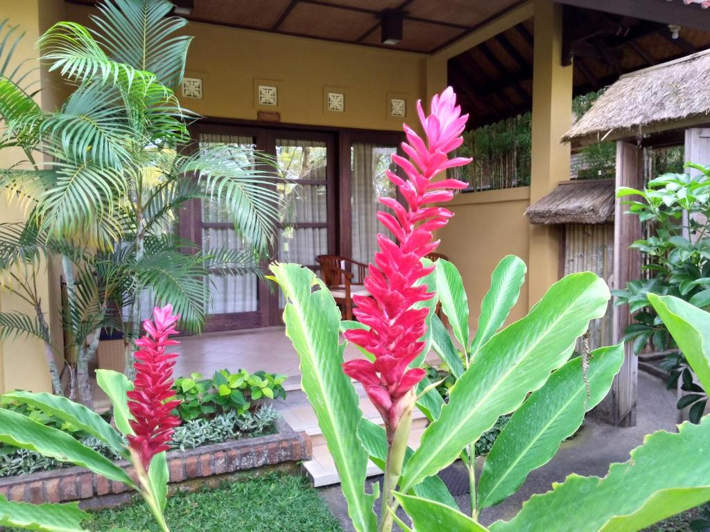Zahrada ubytování Ubud Lestari Bungalows