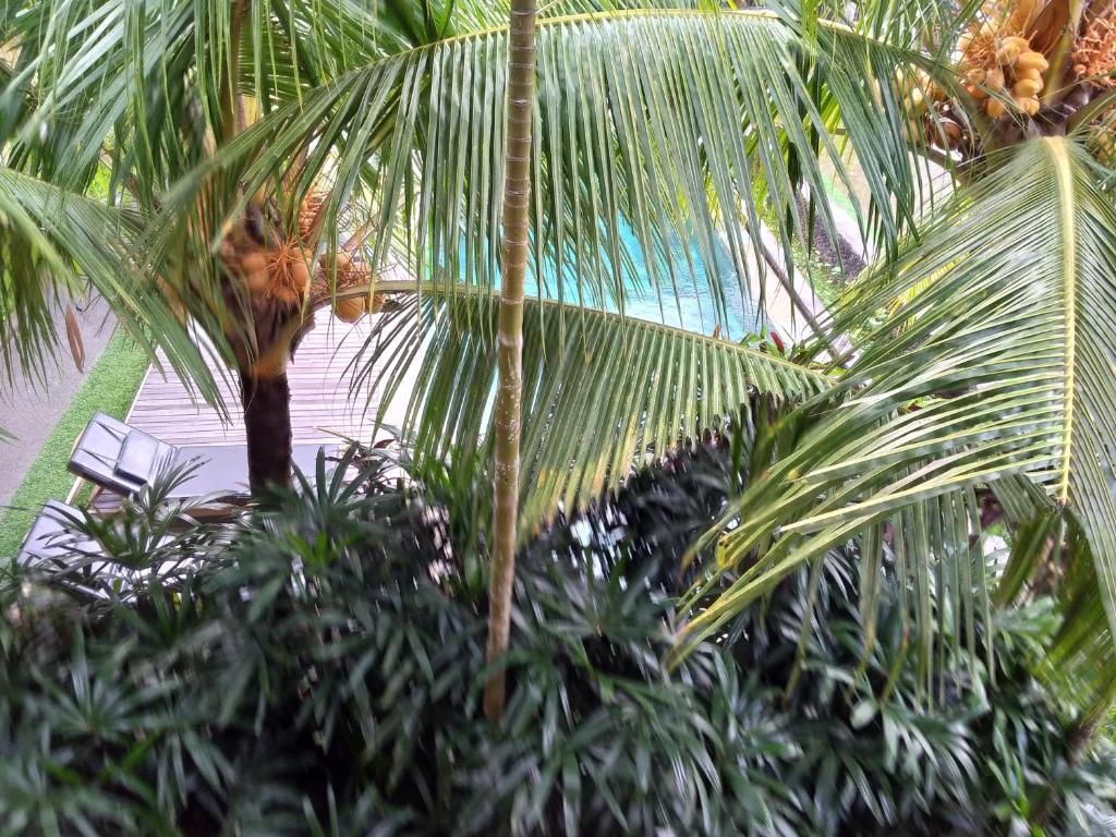 Bazén v ubytování Ubud Lestari Bungalows nebo v jeho okolí