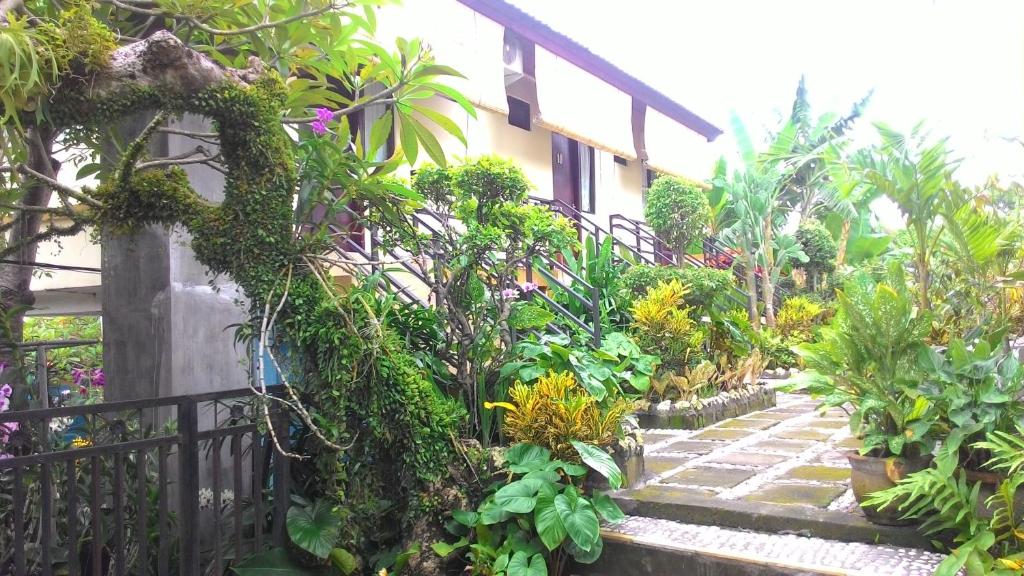 Betesda Guest House - Standard Double Room