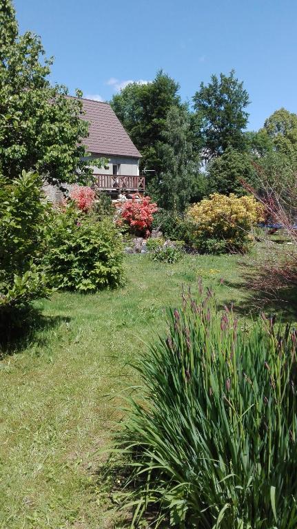 a garden with a house in the background at Pokoje Gościnne Przy Lesie in Pobiedna