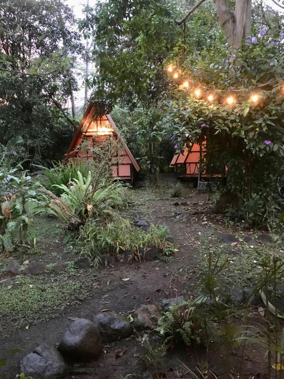 Zahrada ubytování Los Mineros Guesthouse