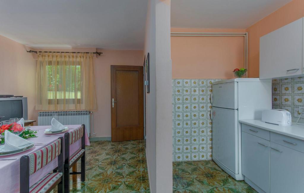 Kuchnia lub aneks kuchenny w obiekcie Apartments Rajko