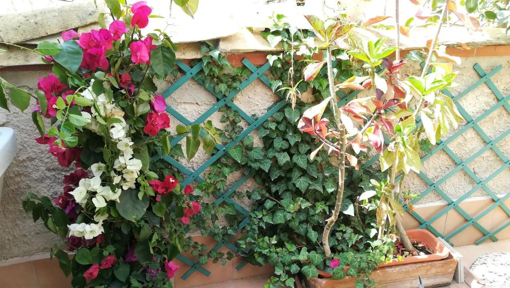A garden outside Casa Elena Al Duomo