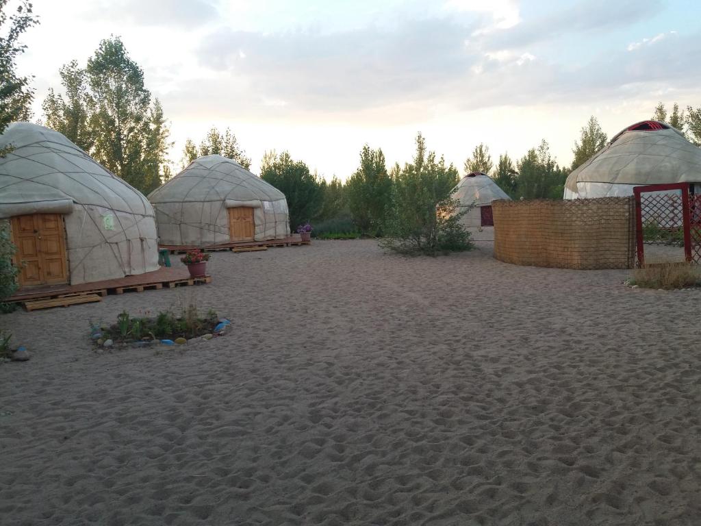 un grupo de cuatro yurtas en la arena en Yurt camp Tosor en Tossor