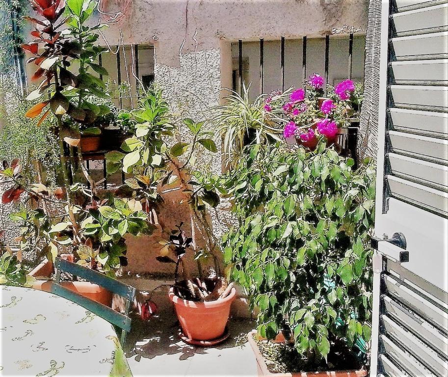 A garden outside Casa Elena Al Duomo