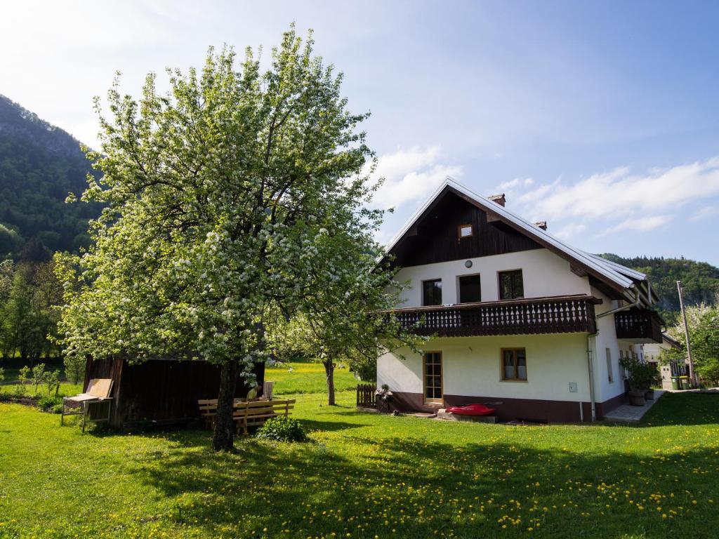 a house in a field with a tree at Pr' Kovač apartments in Bohinjska Bela