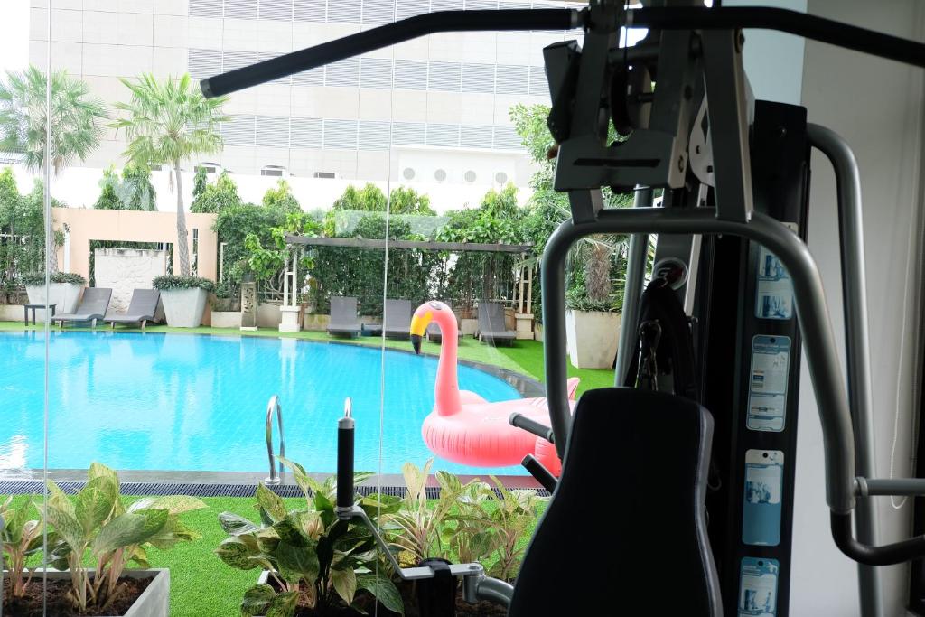A gym machine looks out onto the landscaped pool area.
