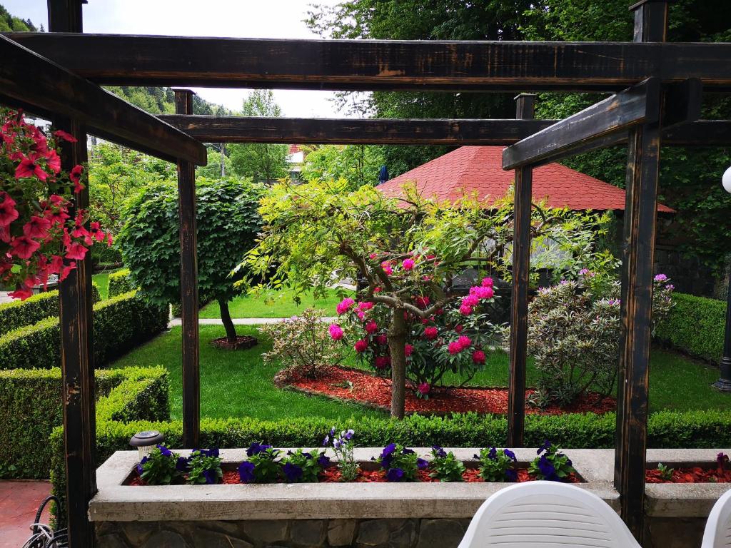 Zahrada ubytování Villa Onix