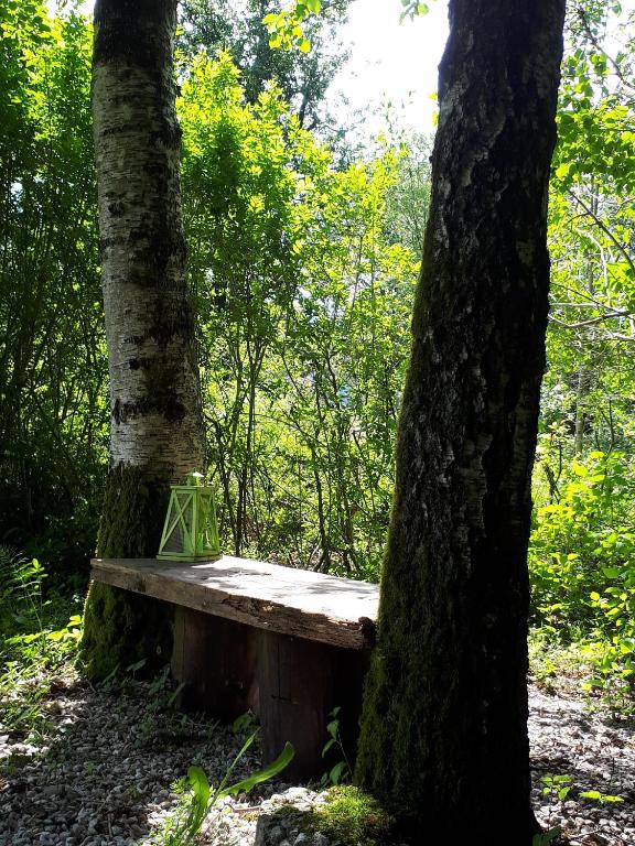 Příroda nedaleko apartmánu