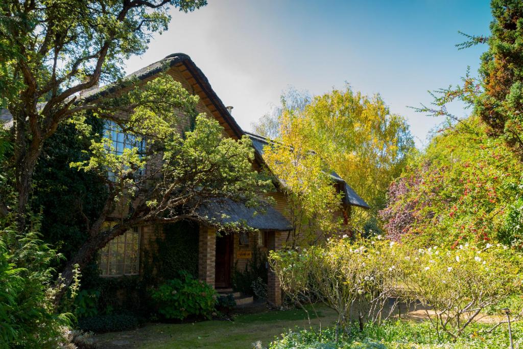 una casa con alberi e piante nel cortile di Cottage Pie a Clarens