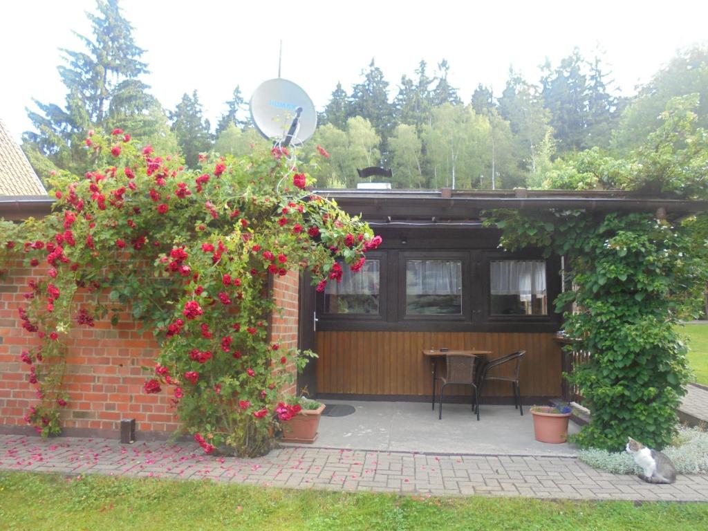 a patio with red flowers on a brick building at Bergfreiheit in Schierke