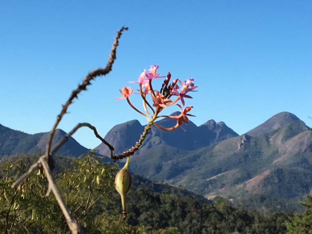  Alto Itaipava