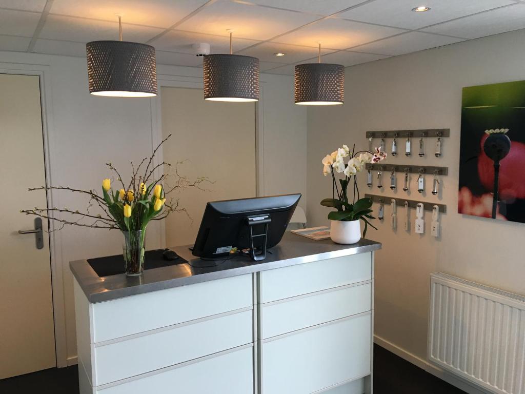 TV a/nebo společenská místnost v ubytování Hotel Posthuys Vlieland