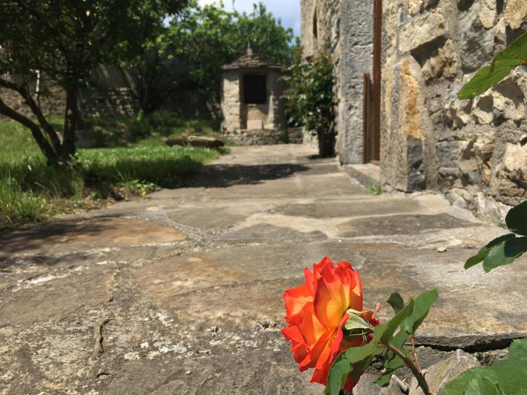 Zahrada ubytování La Abadia