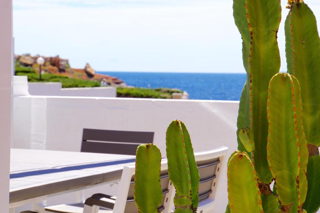 a green cactus sitting next to a table and chairs at Smart Villa Cabo de Palos in Cabo de Palos