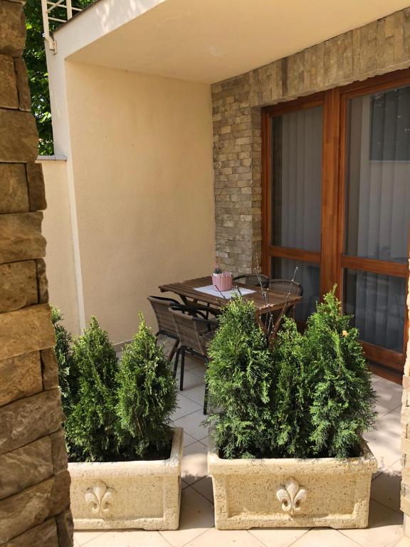 Ogród w obiekcie Nexus Apartmenthotel
