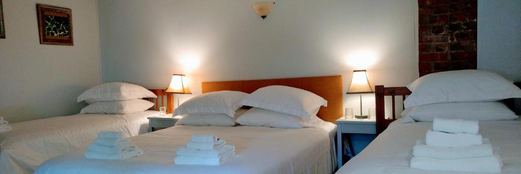 Postel nebo postele na pokoji v ubytování Pine Hill Arms Hotel
