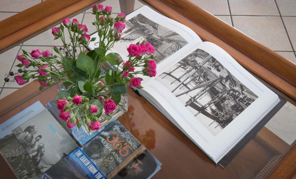 Fotografie z fotogalerie ubytování Sounio Villa v destinaci Sounio