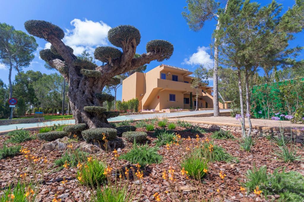 Ses Eufabietes Apartments & Restaurant, San Francisco Javier ...