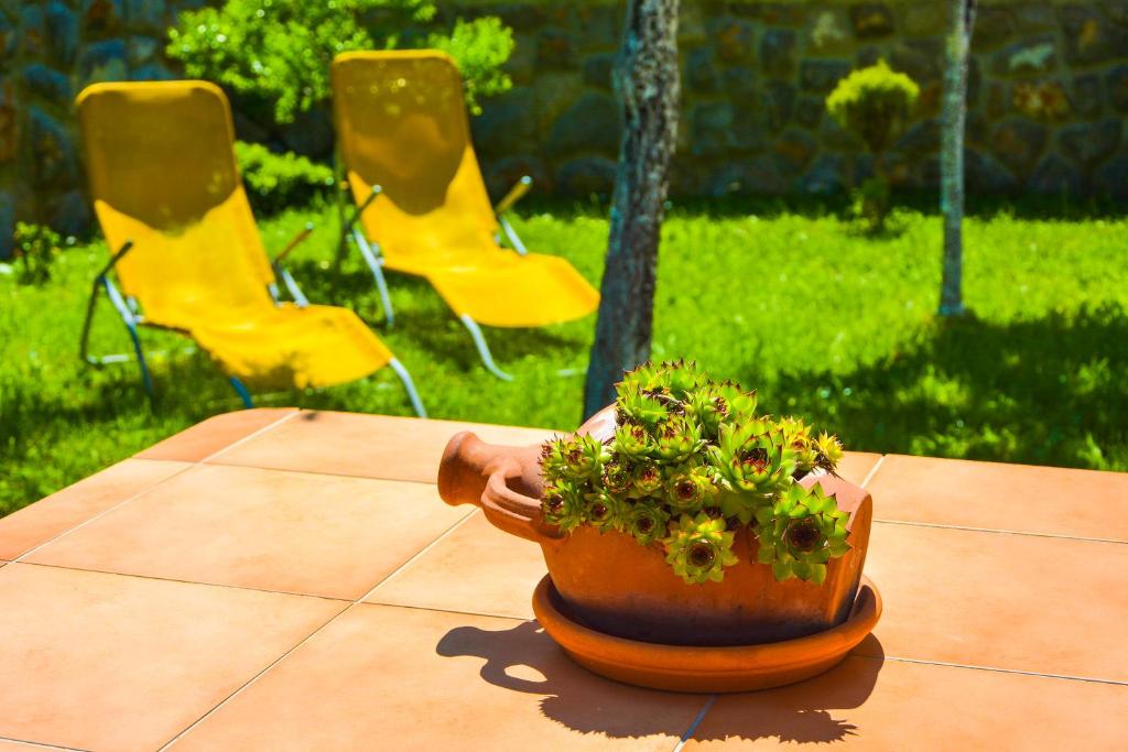 Afbeelding uit fotogalerij van Apartments Maro in Senj