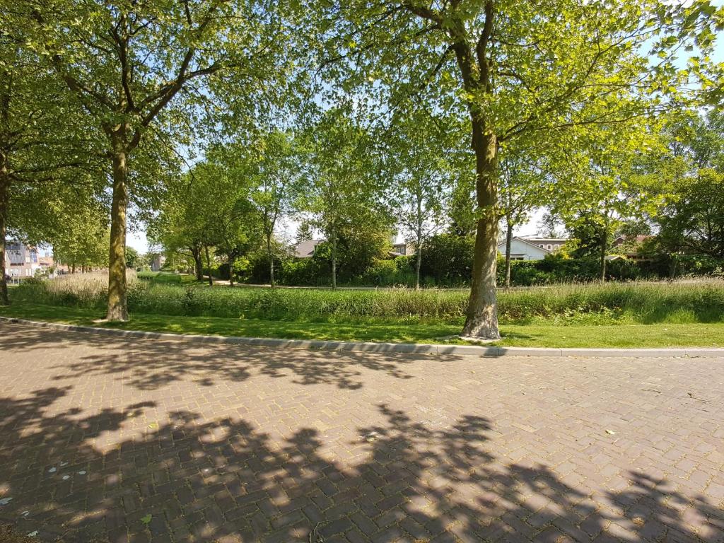 Zahrada ubytování LOGEMENT DE SCHOOL Middelburg