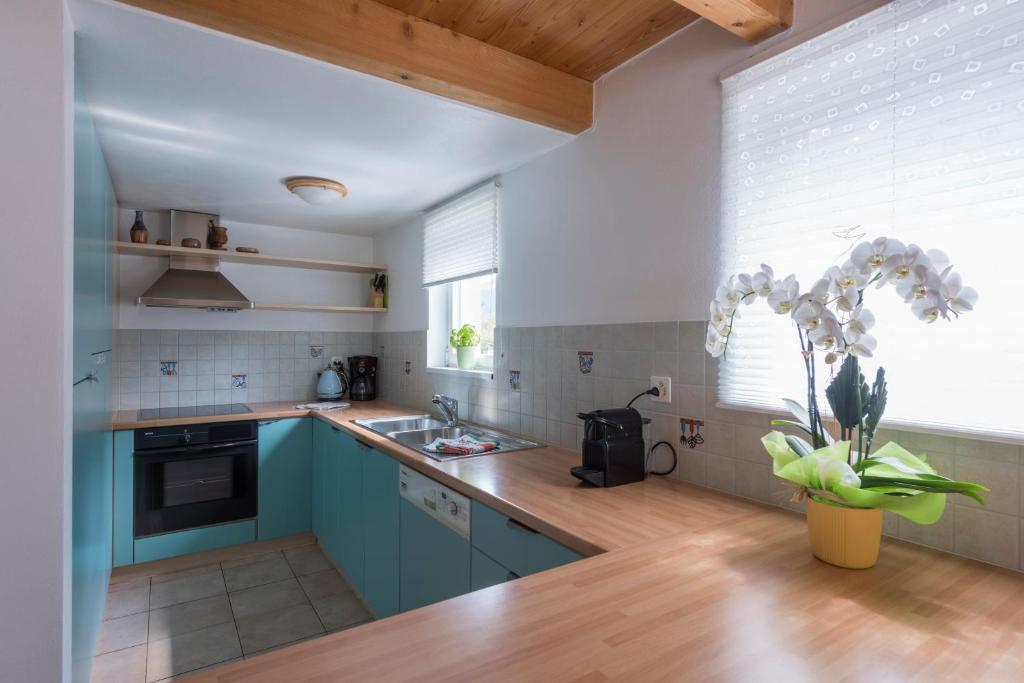 Kuchyň nebo kuchyňský kout v ubytování Casa Blu