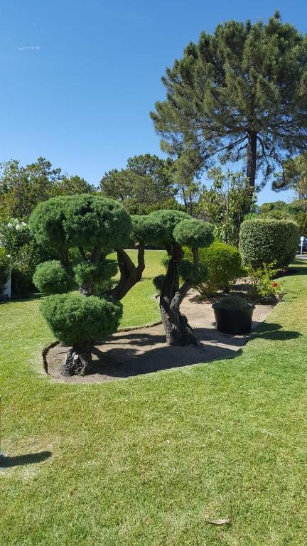 Victory Village Club, Quinta do Lago - Departamento