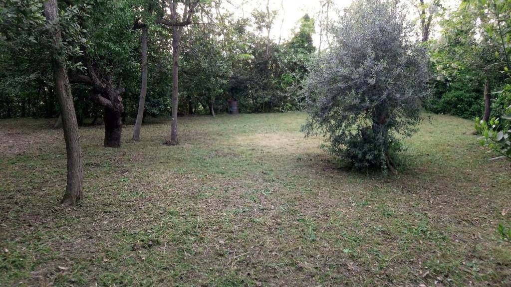 Vonkajšia záhrada v ubytovaní Casolare Toscano