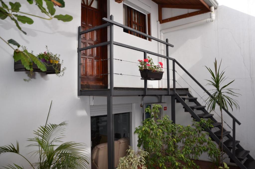 Jardin de l'établissement Hotel Romi