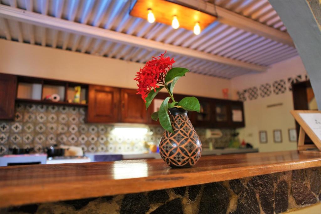 a vase with a red flower sitting on top of a counter at Hostal La Tortuga Booluda in León