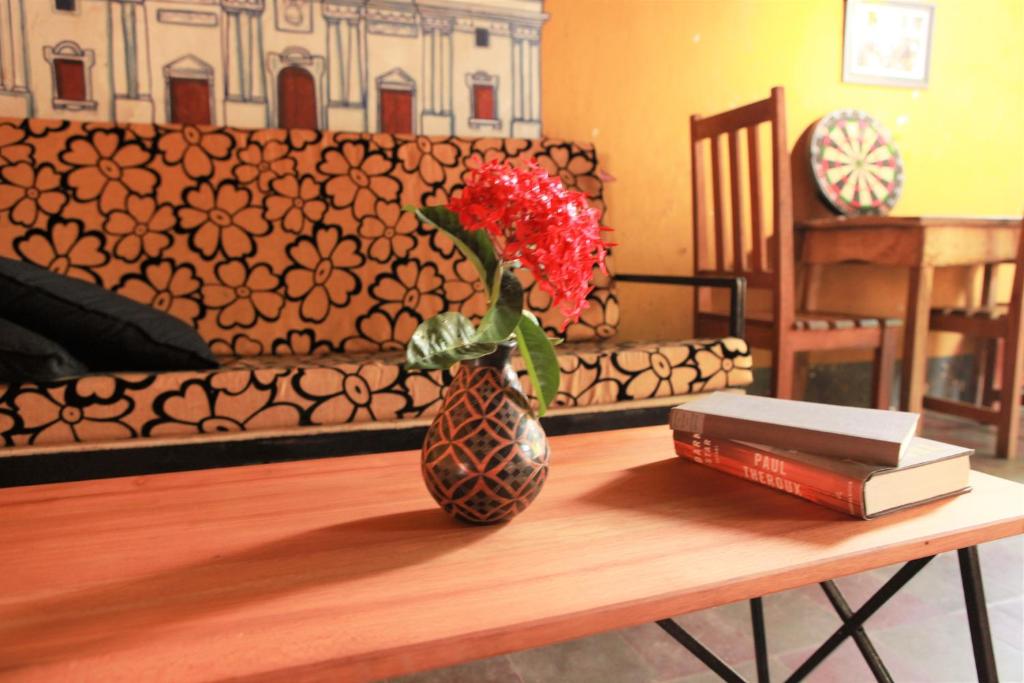 a vase with a flower on a table with a book at Hostal La Tortuga Booluda in León