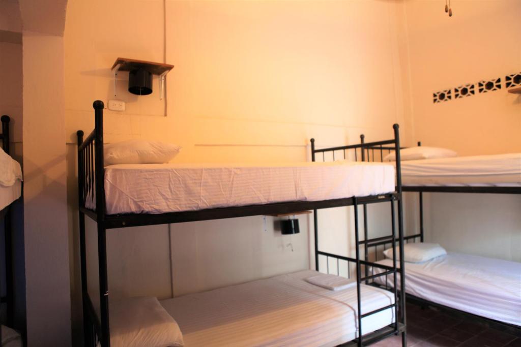 a group of bunk beds in a room at Hostal La Tortuga Booluda in León