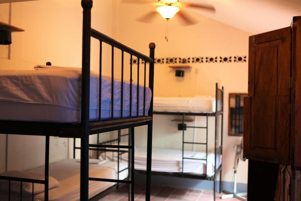 two bunk beds in a room with a ceiling fan at Hostal La Tortuga Booluda in León