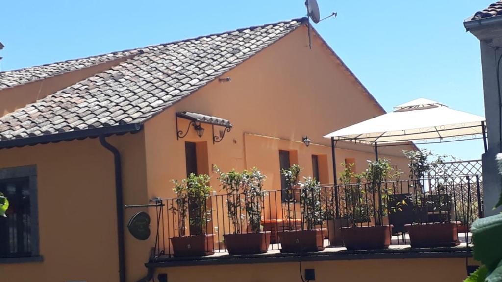 une maison dotée d'une clôture avec des plantes en pot dans l'établissement "Profumo di Tiglio", à Bagnoregio