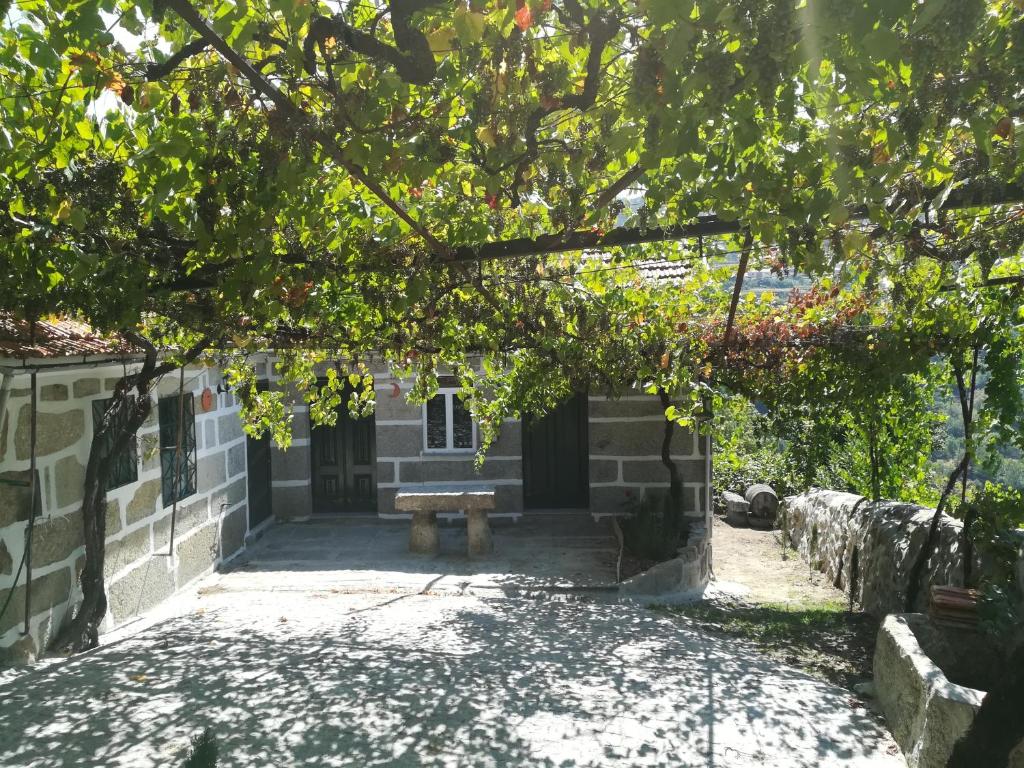 un edificio de piedra con un banco bajo un árbol en Quinta do Sol - Soutelo, en Chã