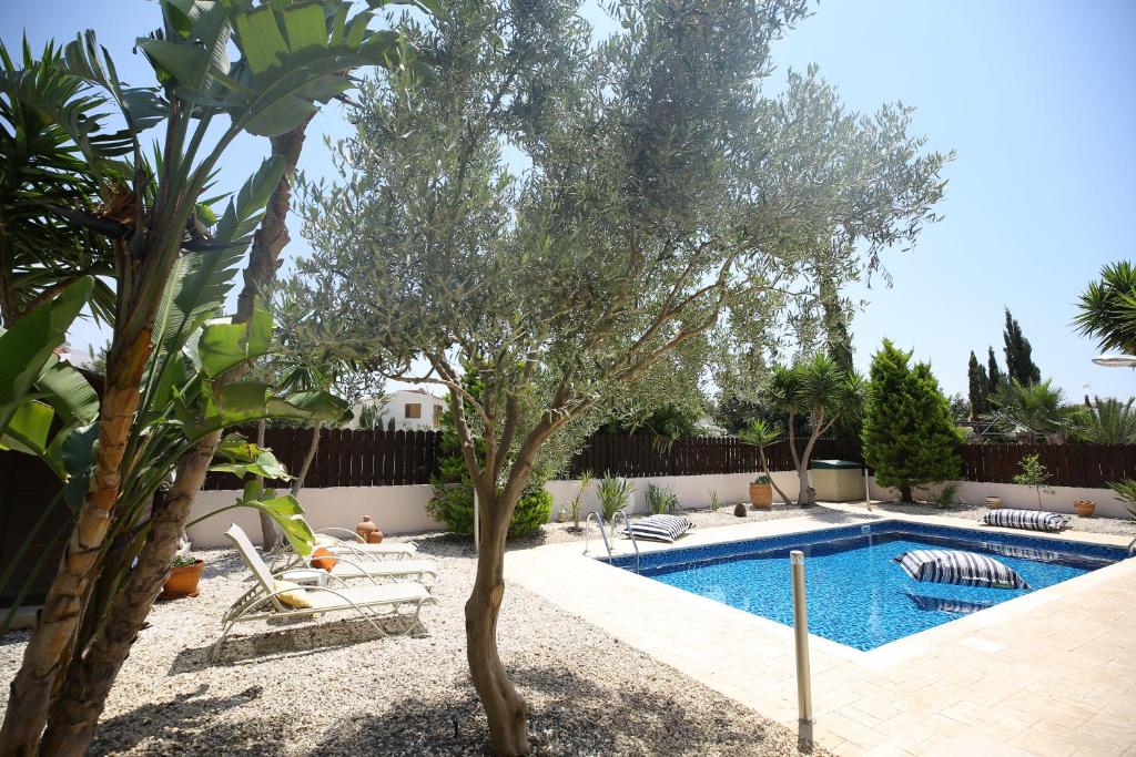 a pool with chairs and a tree in a yard at Unique Beach Luxurious Villas in Ayia Napa