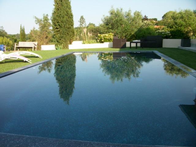 una piscina con un reflejo de árboles en el agua en villa terrefort, en Drémil-Lafage