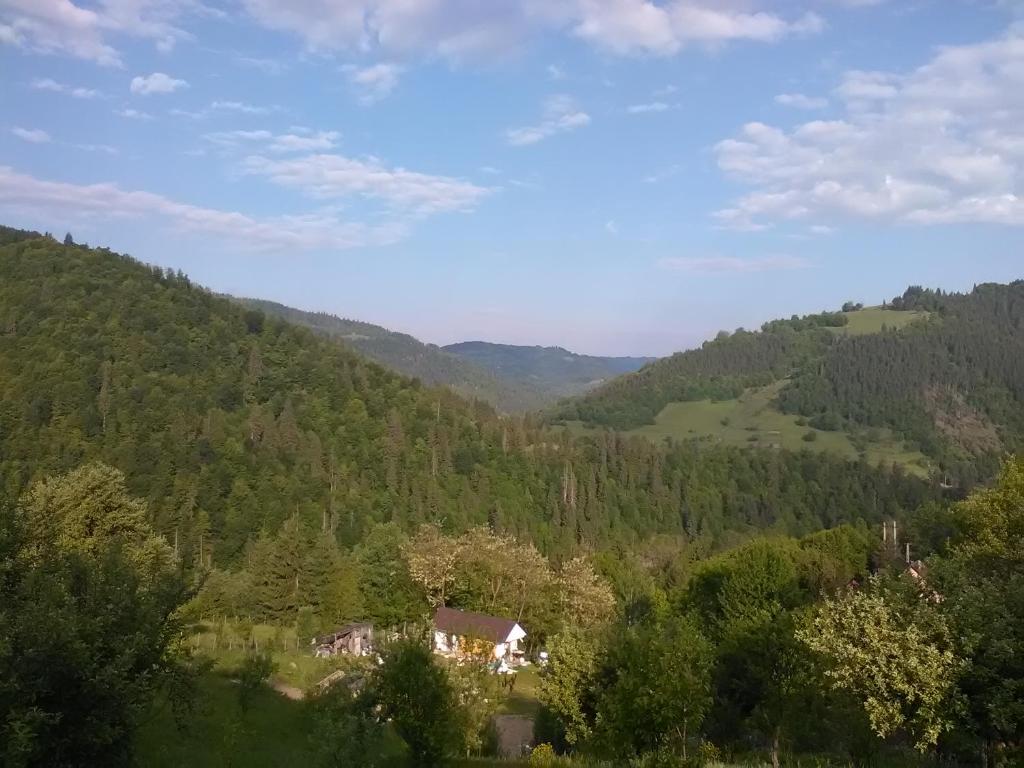 Blick auf ein Tal in den Bergen in der Unterkunft Casa cu Muscate in Câmpeni