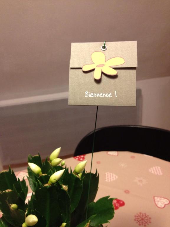 Les Appartements de Home Petite Venise – photo 26