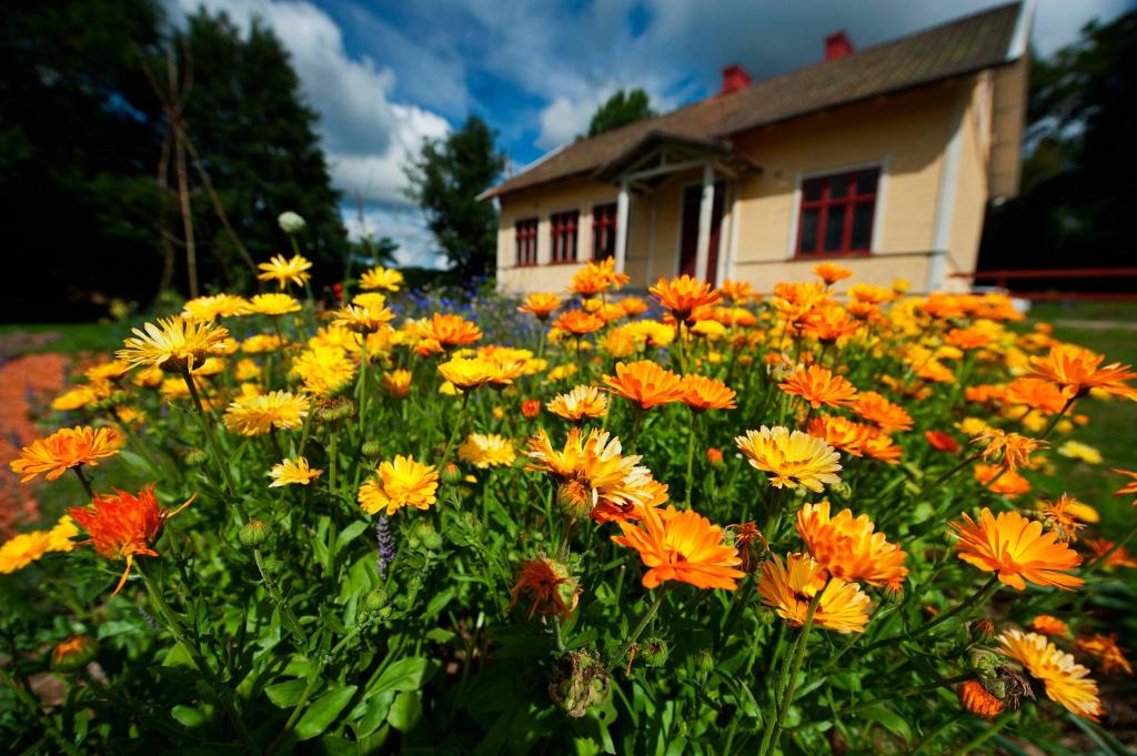 Zahrada ubytování Boråkra Bed & Breakfast