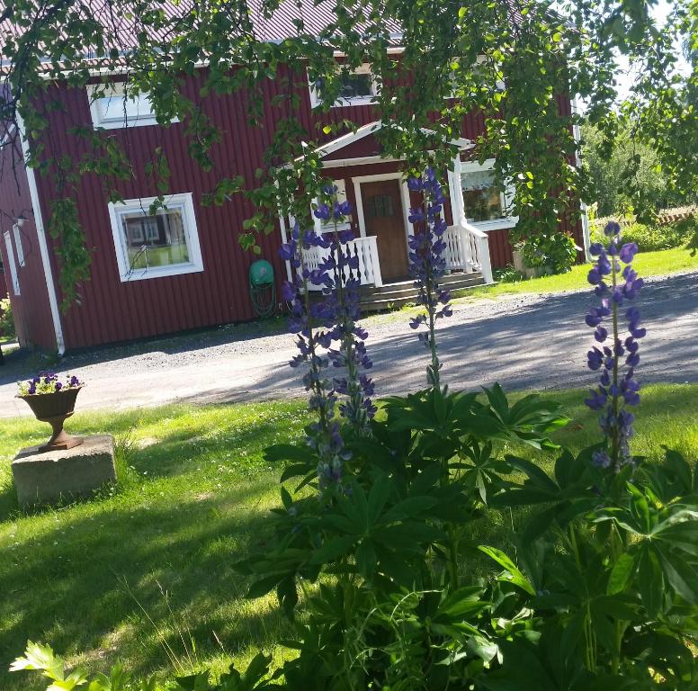 Zahrada ubytování Kallaxgårdshotel/apartment, Luleå