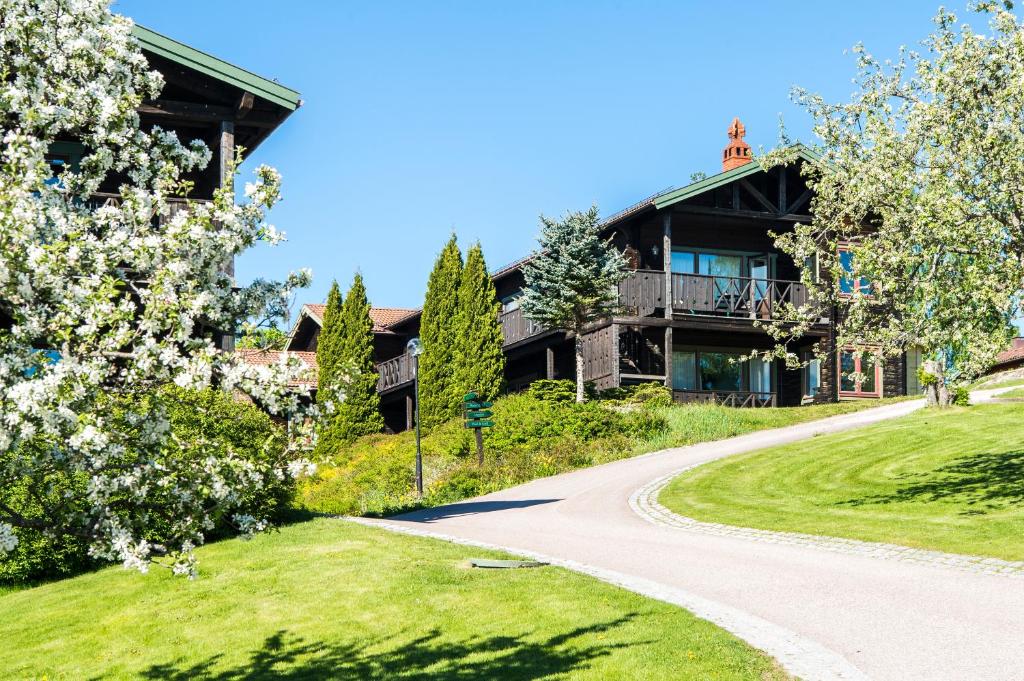 Zahrada ubytování Green Hotel
