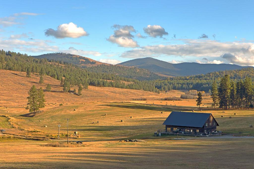 a barn in the middle of a grassy field at Frontier Cabin in Oroville